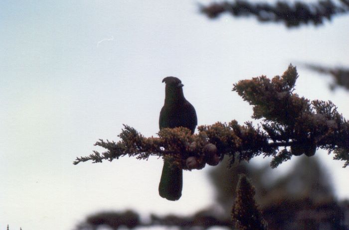 ../Images/210.Road No 1.jpg